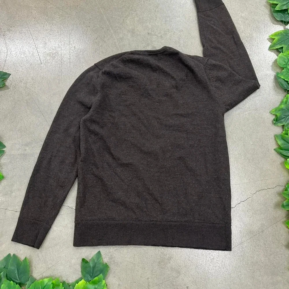 GAP 100% Merino Wool V-Neck Sweater Brown